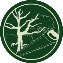Dessin d'un arbre nu et d'une scie