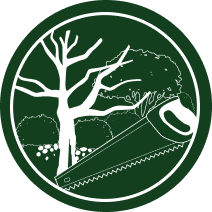Dessin d'un arbre nu et d'une scie